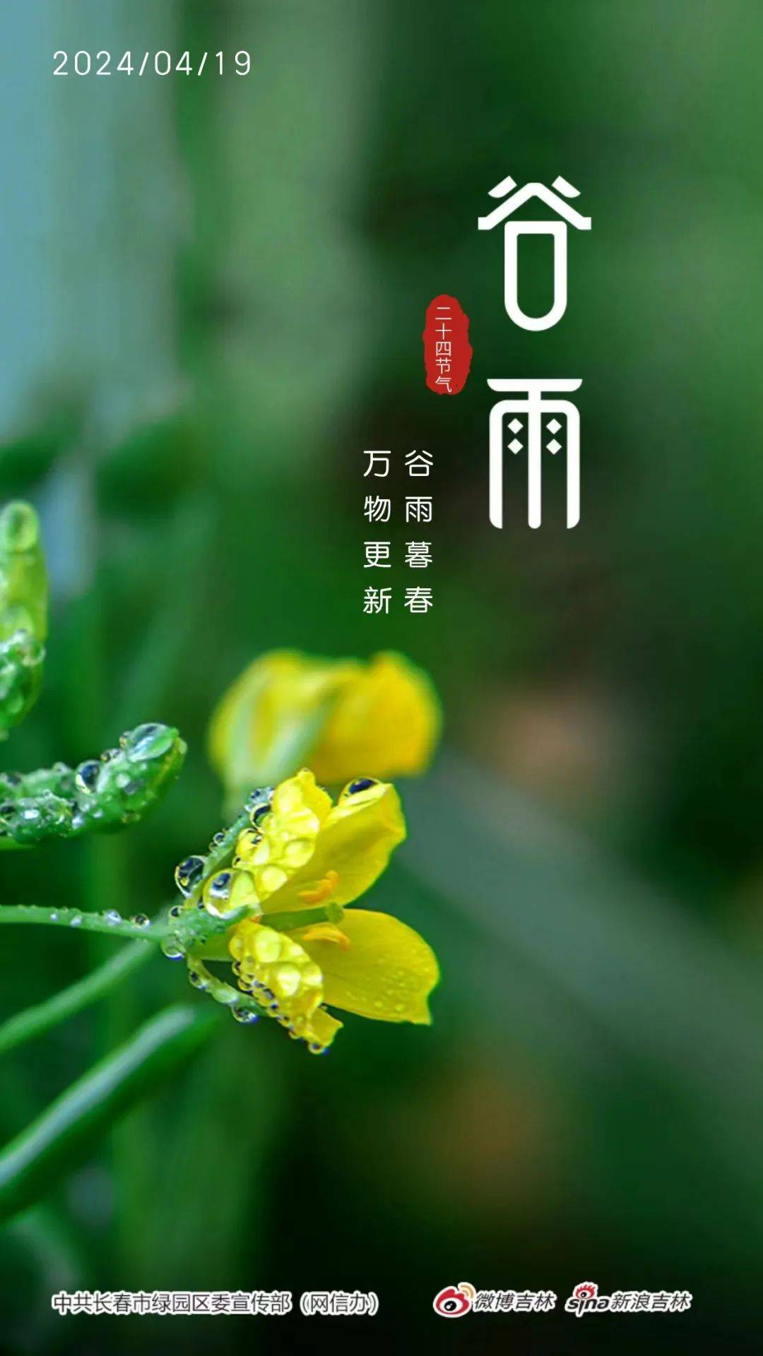 谷雨最新版，全新体验与功能升级重磅发布